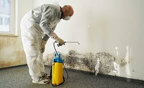 Best Emergency Mold Remediation  in Eureka, MO