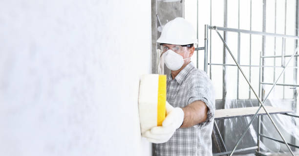 Best Biohazard Mold Removal  in Eureka, MO