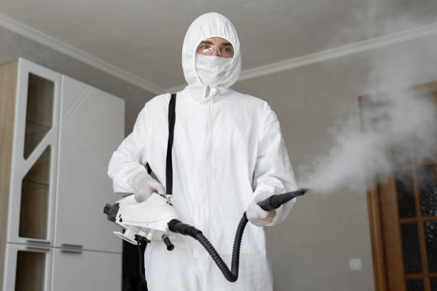 Environmental Consulting for Mold Prevention in Eureka, MO