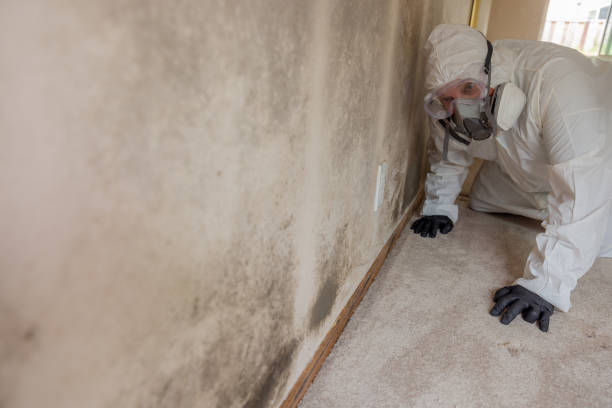 Best Residential Mold Inspection & Testing  in Eureka, MO