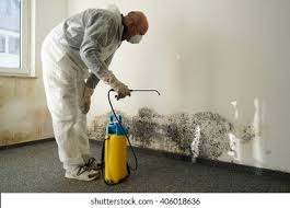 Best Forensic Mold Investigation  in Eureka, MO